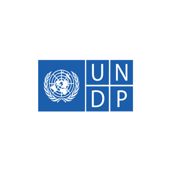 UNDP-Zillion eLearning